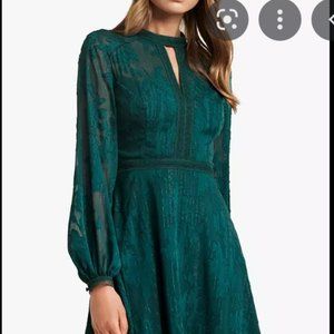 Ever New Sallie Embroidered Dress, Green